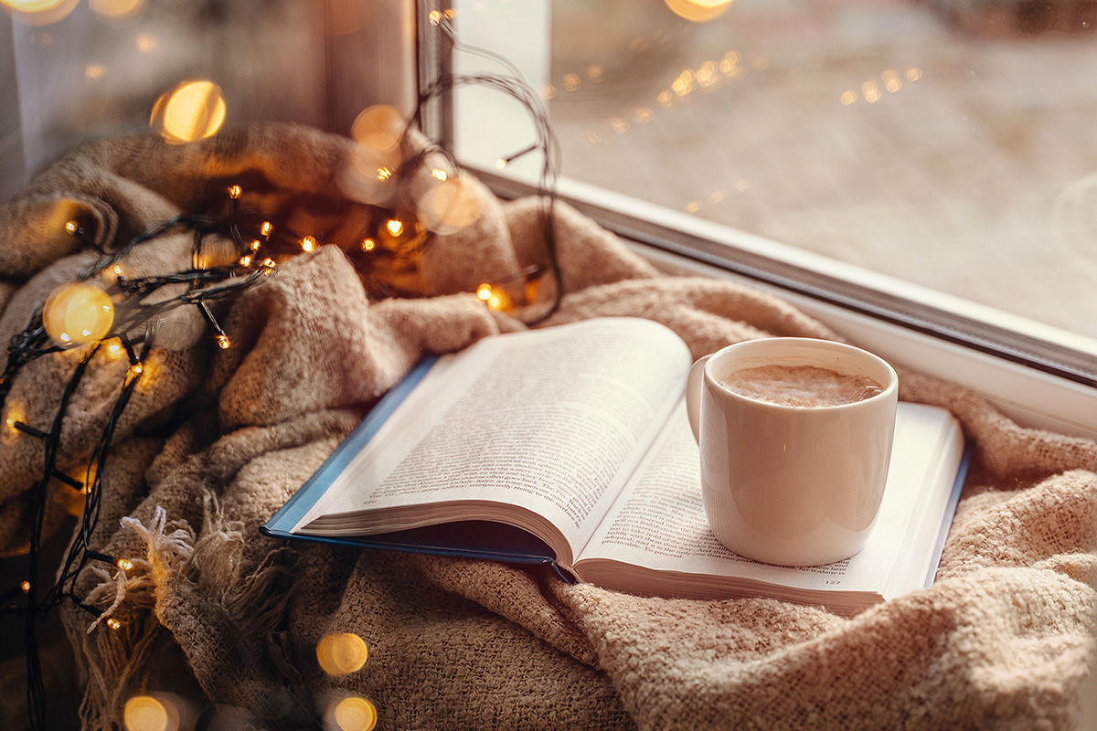 Prévisualisation photo article