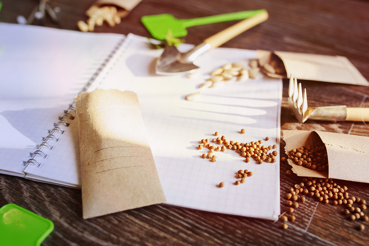 Prévisualisation photo article