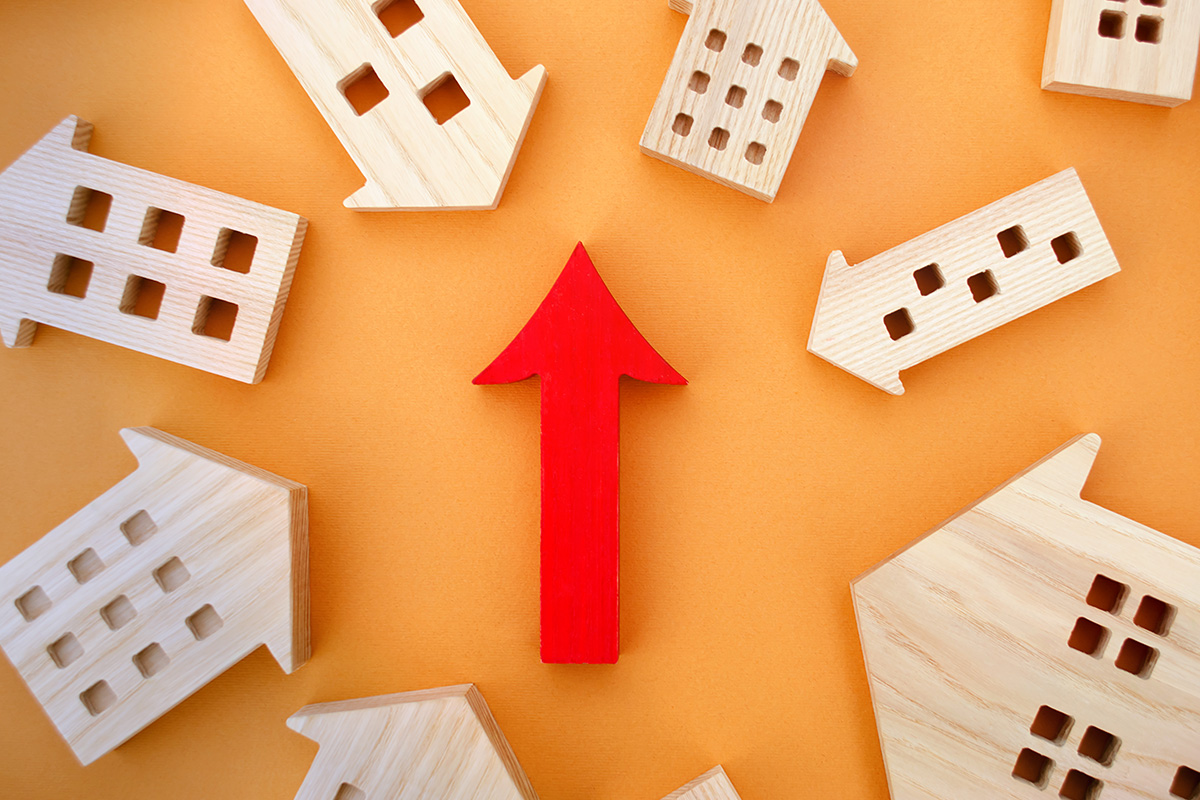 Prévisualisation photo article